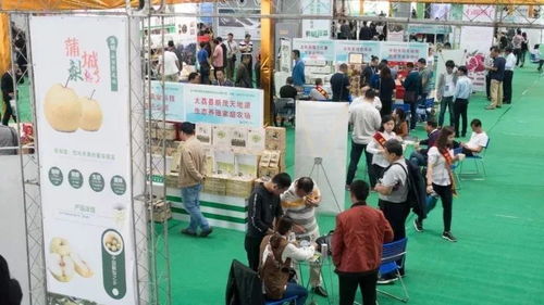 這一年，我們不一樣——禮儀服務(wù)的變革與堅(jiān)守